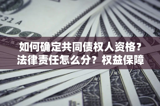 武汉如何确定共同债权人资格？法律责任怎么分？权益保障技巧揭秘！