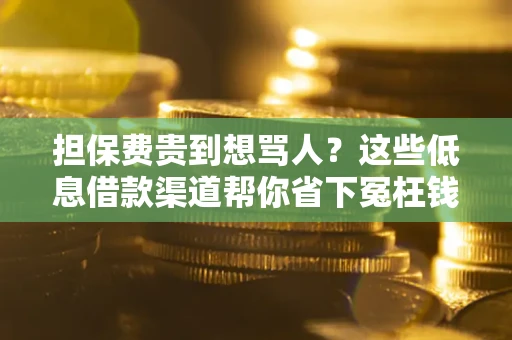 武汉担保费贵到想骂人？这些低息借款渠道帮你省下冤枉钱