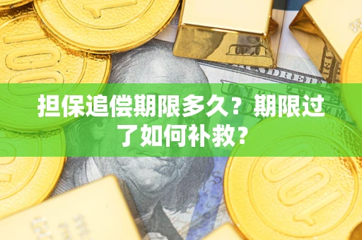 武汉担保追偿期限多久？期限过了如何补救？