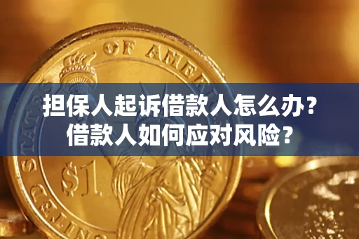武汉担保人起诉借款人怎么办？借款人如何应对风险？