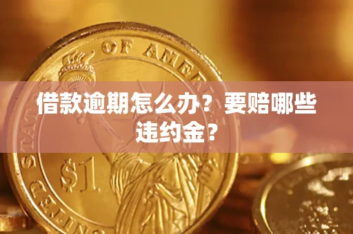 武汉借款逾期怎么办？要赔哪些违约金？